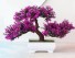 Umelá bonsaj v kvetináči fialová