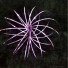 Varázslatos anti-stressz spirál lila